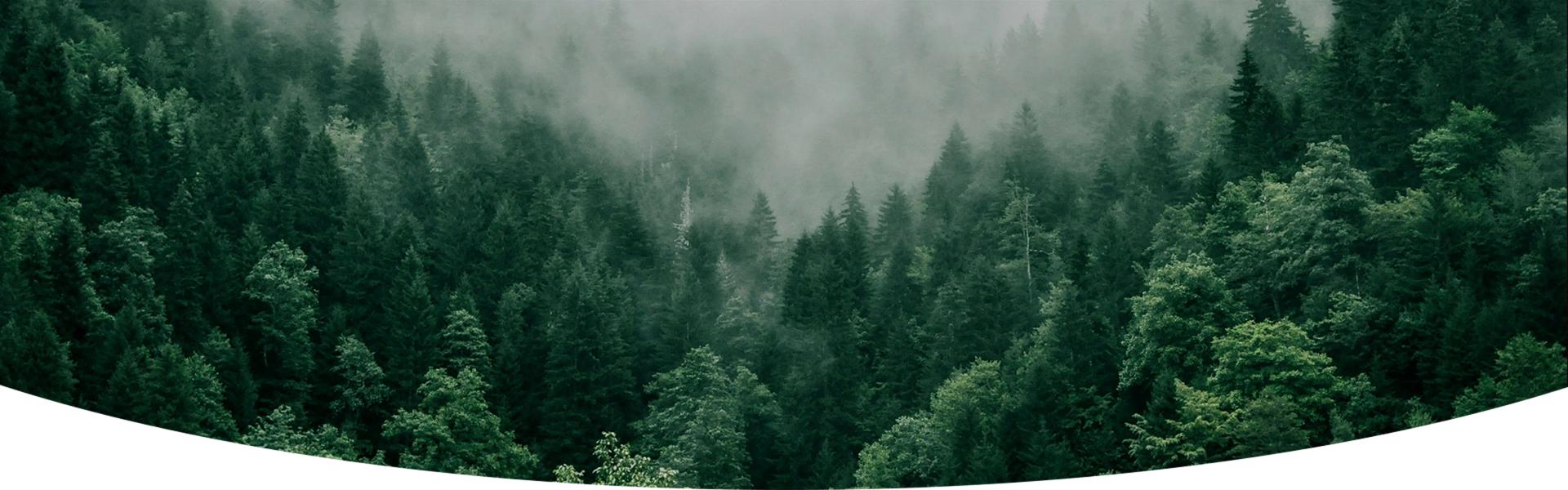 Sustainability